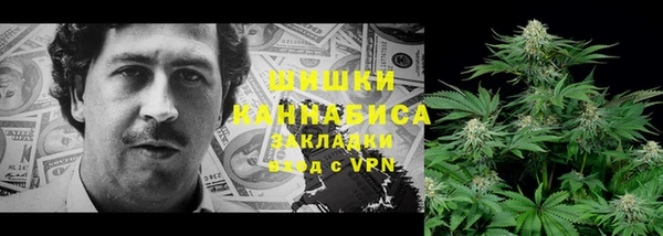 PSILOCYBIN Алексеевка